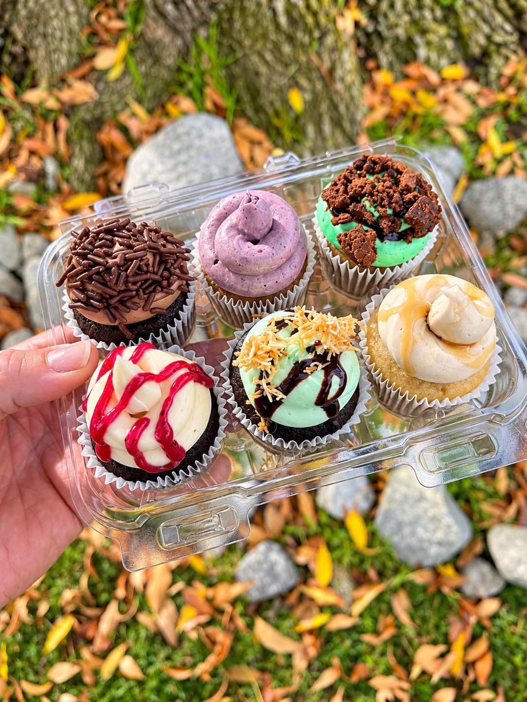 Colorful handcrafted Nom Nom mini cupcakes