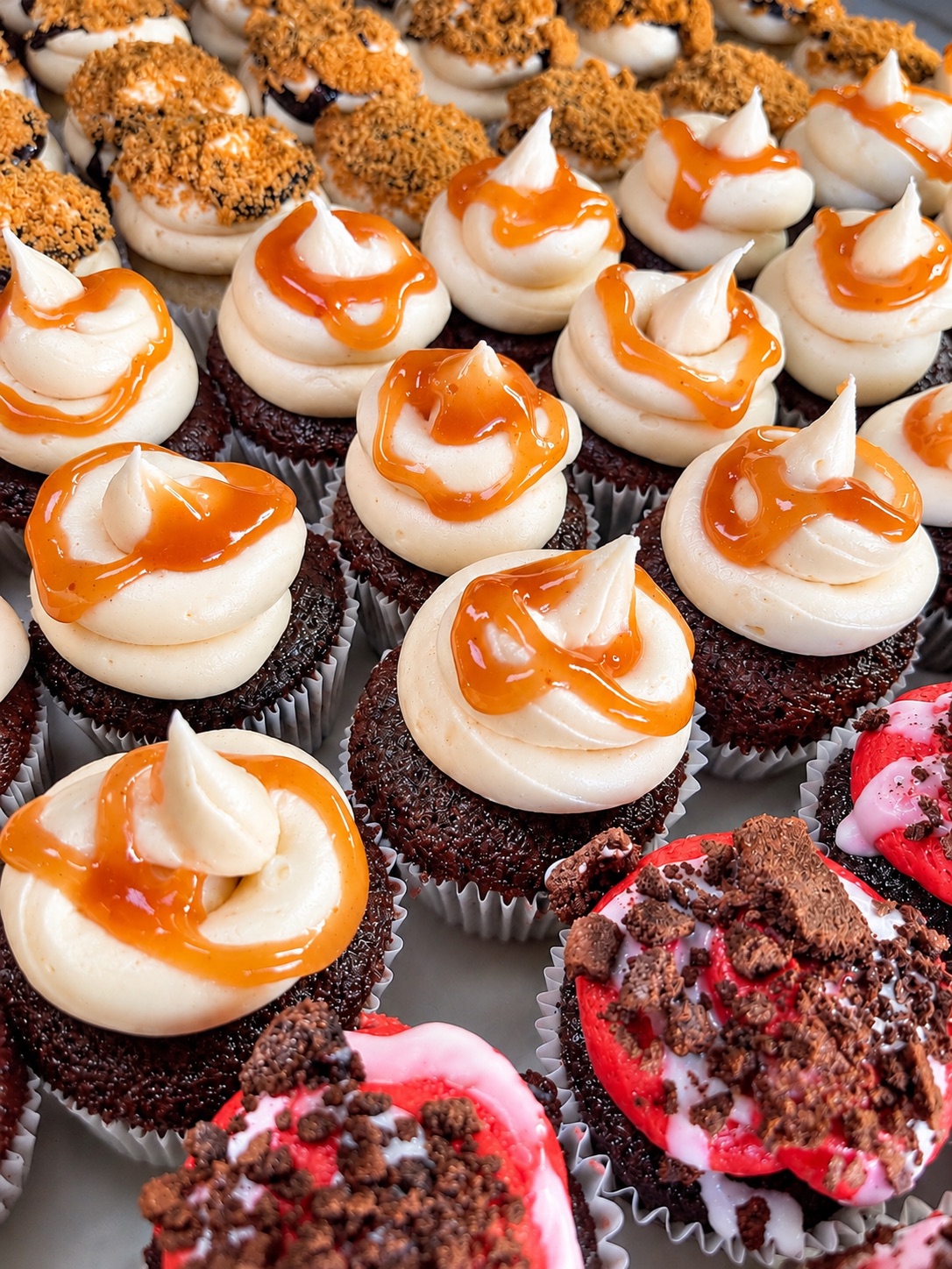 Colorful assorted mini cupcakes with caramel, chocolate, and sprinkle toppings